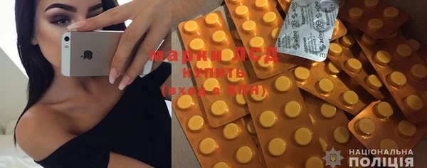 индика Осинники