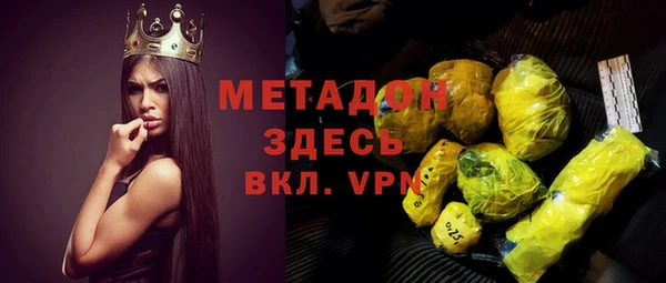 индика Осинники