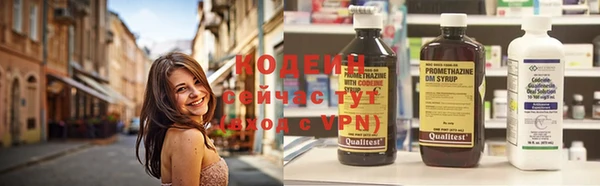 дживик Пересвет