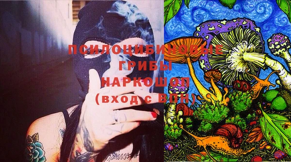дурь Переславль-Залесский