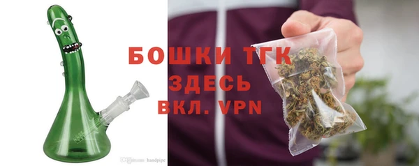 индика Осинники