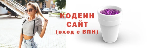 дживик Пересвет