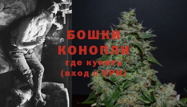 дживик Пересвет