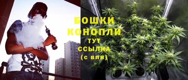 индика Осинники
