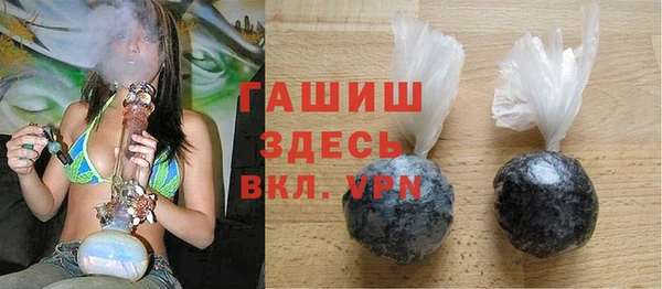 индика Осинники