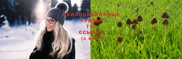 амф Пестово