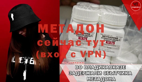 индика Осинники