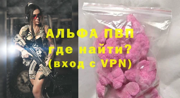 индика Осинники