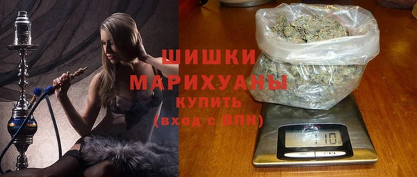 дживик Пересвет