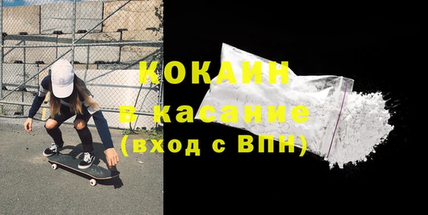 индика Осинники