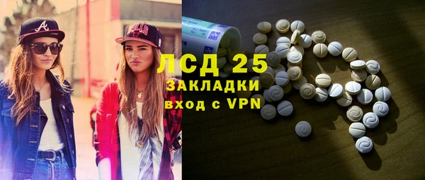 дживик Пересвет