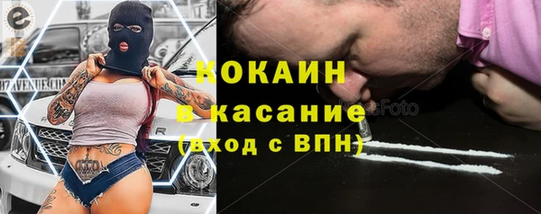 дживик Пересвет