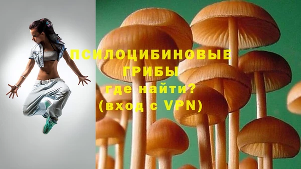 дурь Переславль-Залесский