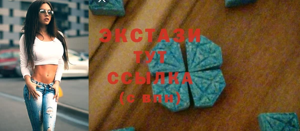 индика Осинники