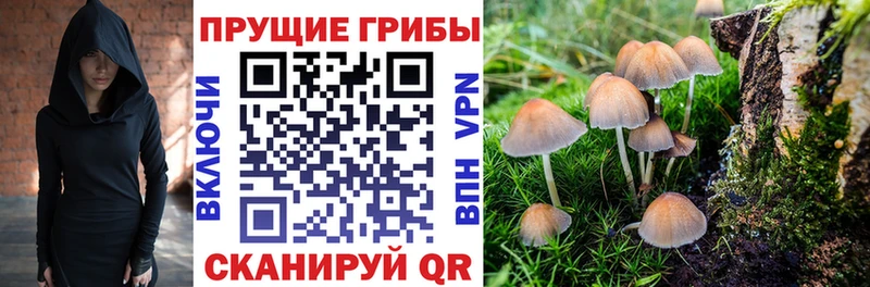 Галлюциногенные грибы MAGIC MUSHROOMS  как найти закладки  Краснотурьинск 